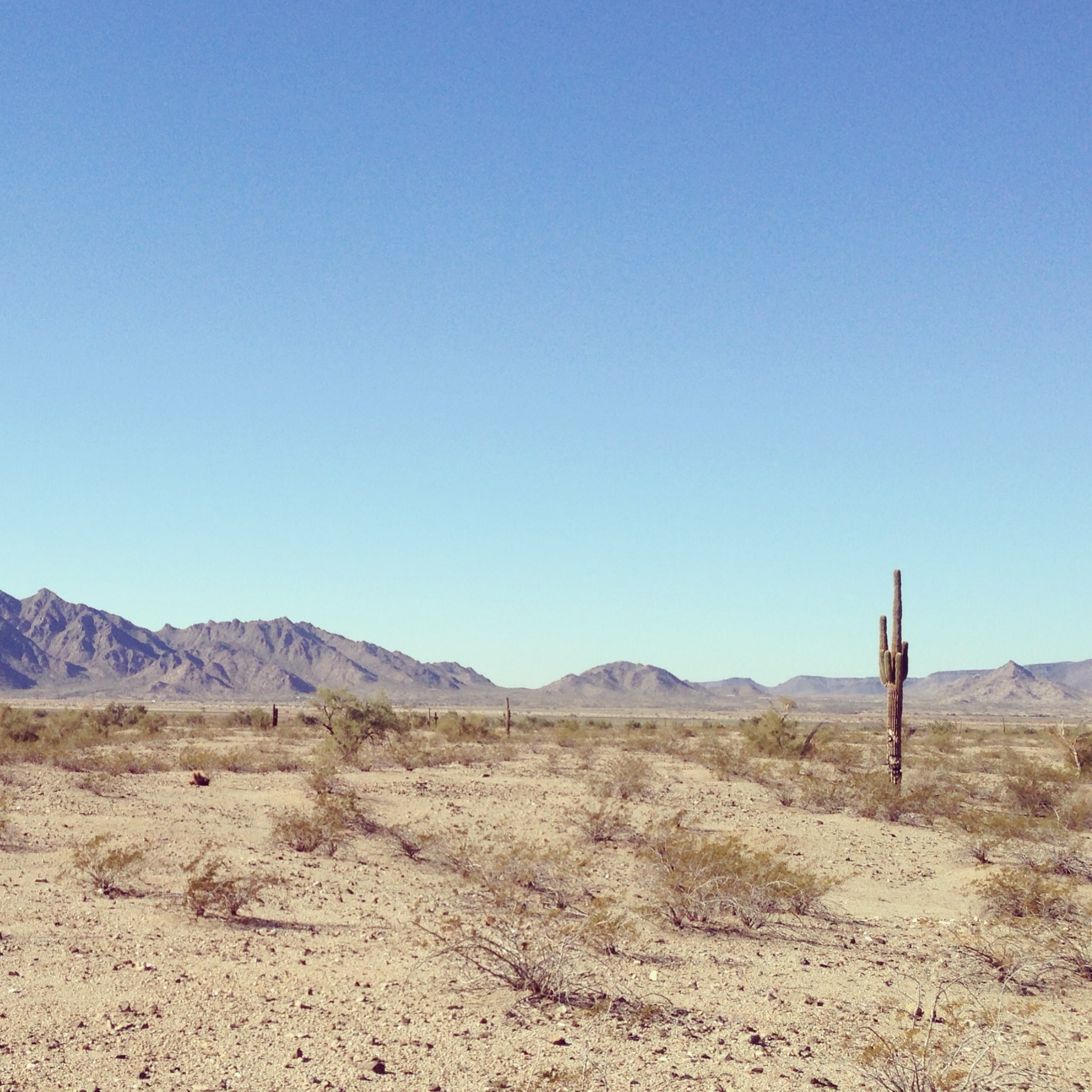 Gila Bend, Arizona In Pictures! - That Savage Life